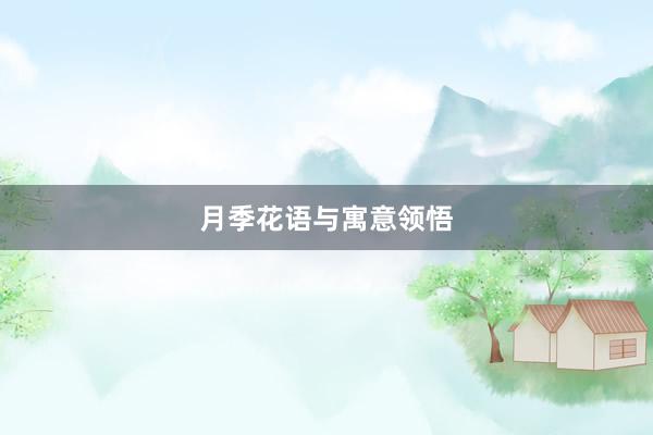 月季花语与寓意领悟