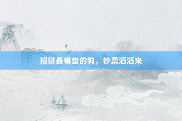 招财最横蛮的狗，钞票滔滔来